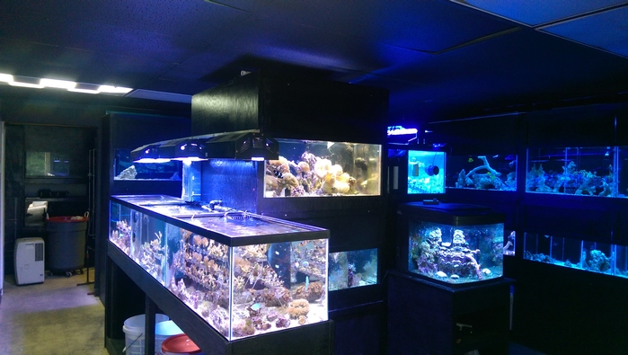 Albemarle Aquariums